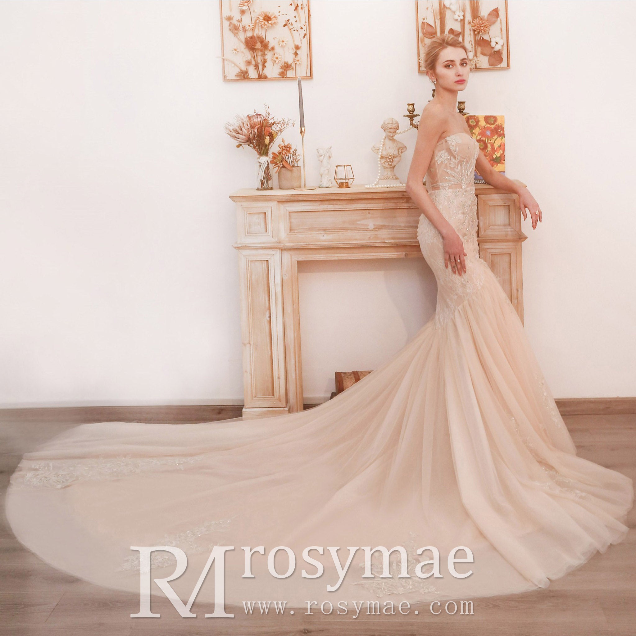 Mermaid Boho Wedding Dress Strapless Bridal Wedding Gown Champagne / 6 Mermaid Boho Wedding Dress Strapless Bridal Wedding Gown Champagne / 6