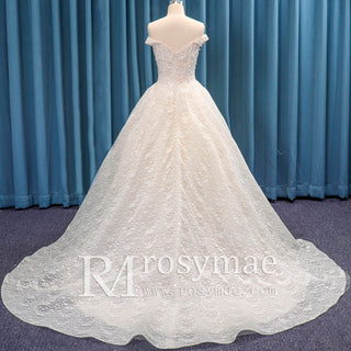 Cap Sleeve Double V A-line Lace Wedding Dress with Royal Train