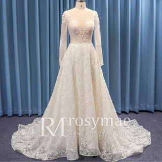 Elegant A-line Bridal Gowns Wedding Dresses with Long Sleeve