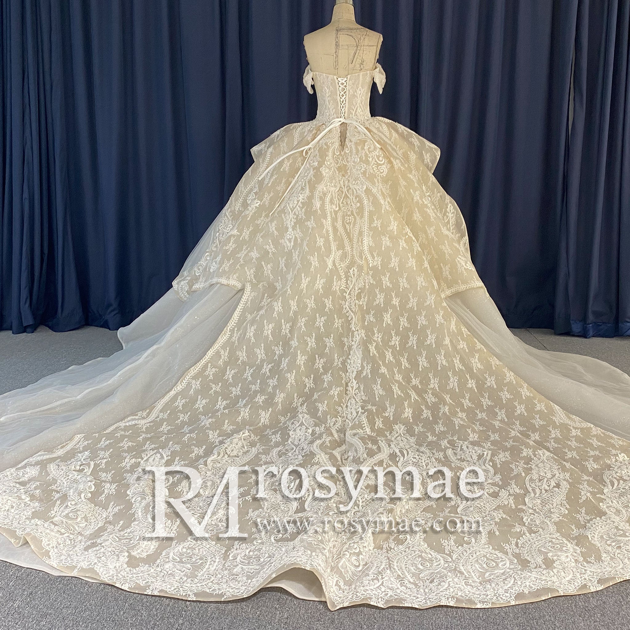 Trendy-Traditional-Off-the-Shoulder-Wedding-Dress