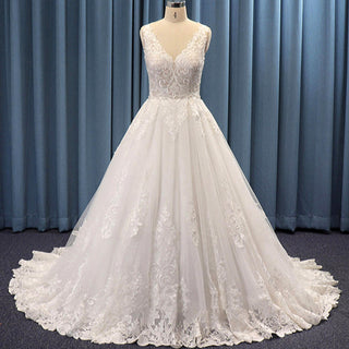 Timeless V-neck Lace and Tulle Ballgown Wedding Dress High Back