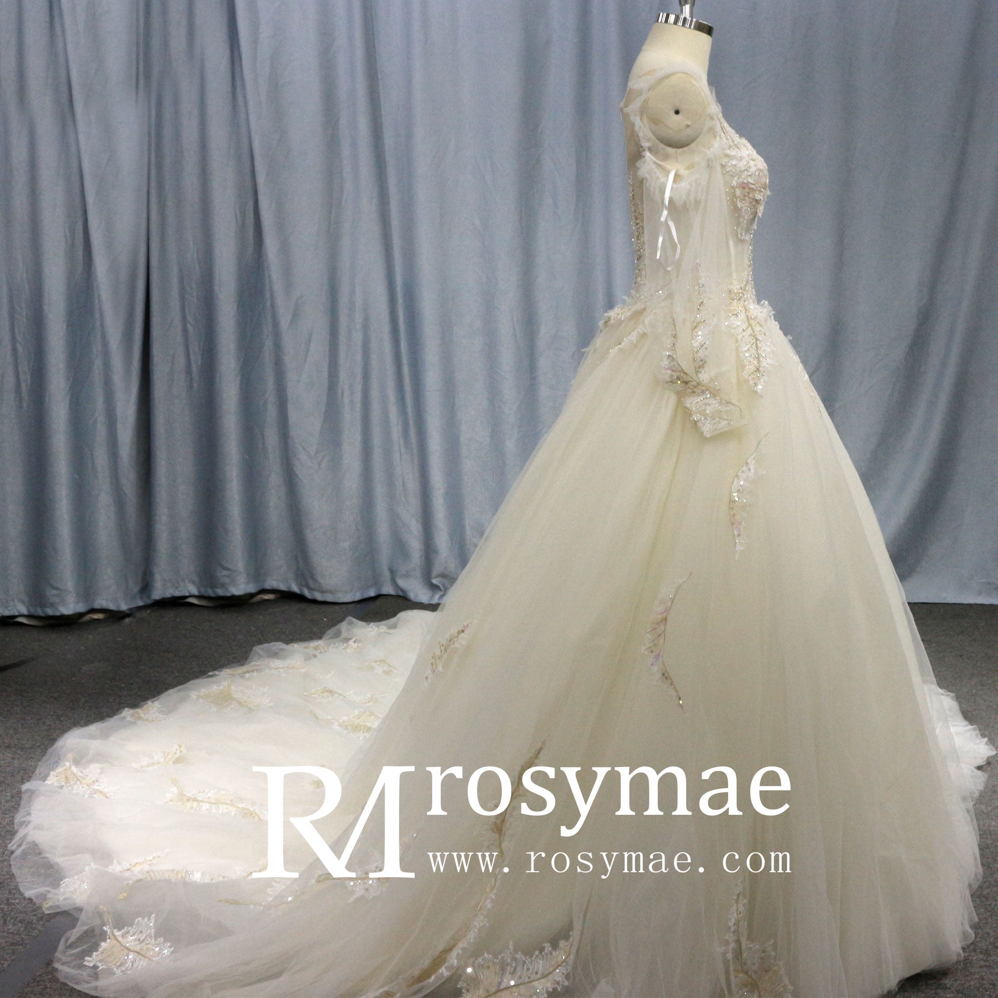 Ball Gown Sheer Long Sleeves Tulle Bride Wedding Dress - Rosymae