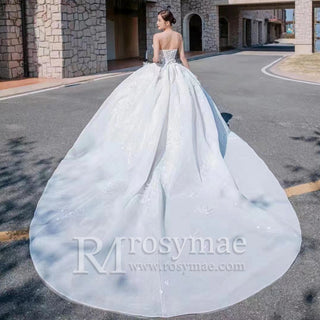 Big Puffy Skirt Ball Gown Strapless Wedding Dresses for Outdoor - Rosymae