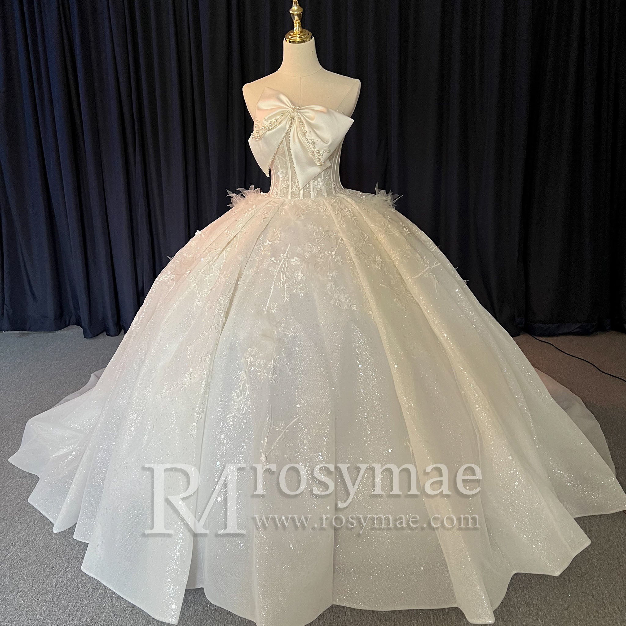 Big Puffy Skirt Ball Gown Strapless Wedding Dresses for Outdoor Champagne / 28W Big Puffy Skirt Ball Gown Strapless Wedding Dresses for Outdoor Champagne / 28W