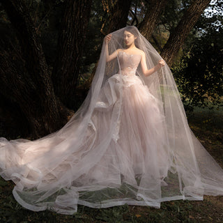 Gorgeous Beautiful Blush Bridal Gowns Tulle Wedding Dresses