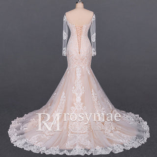 Gorgeous Lace Mermaid Long Sleeves Wedding Dresses