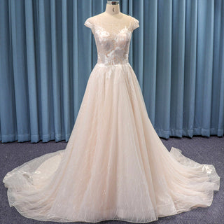 Sheer Bodice and Neckline Floral Lace Tulle A-line Wedding Dress