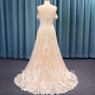 Capped Sleeve Champagne Lace Tulle A-line Plus Size Wedding Dress