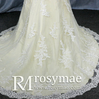 Elegant Cream Long Sleeve A Line V-Neck Lace Wedding Dresses - Rosymae