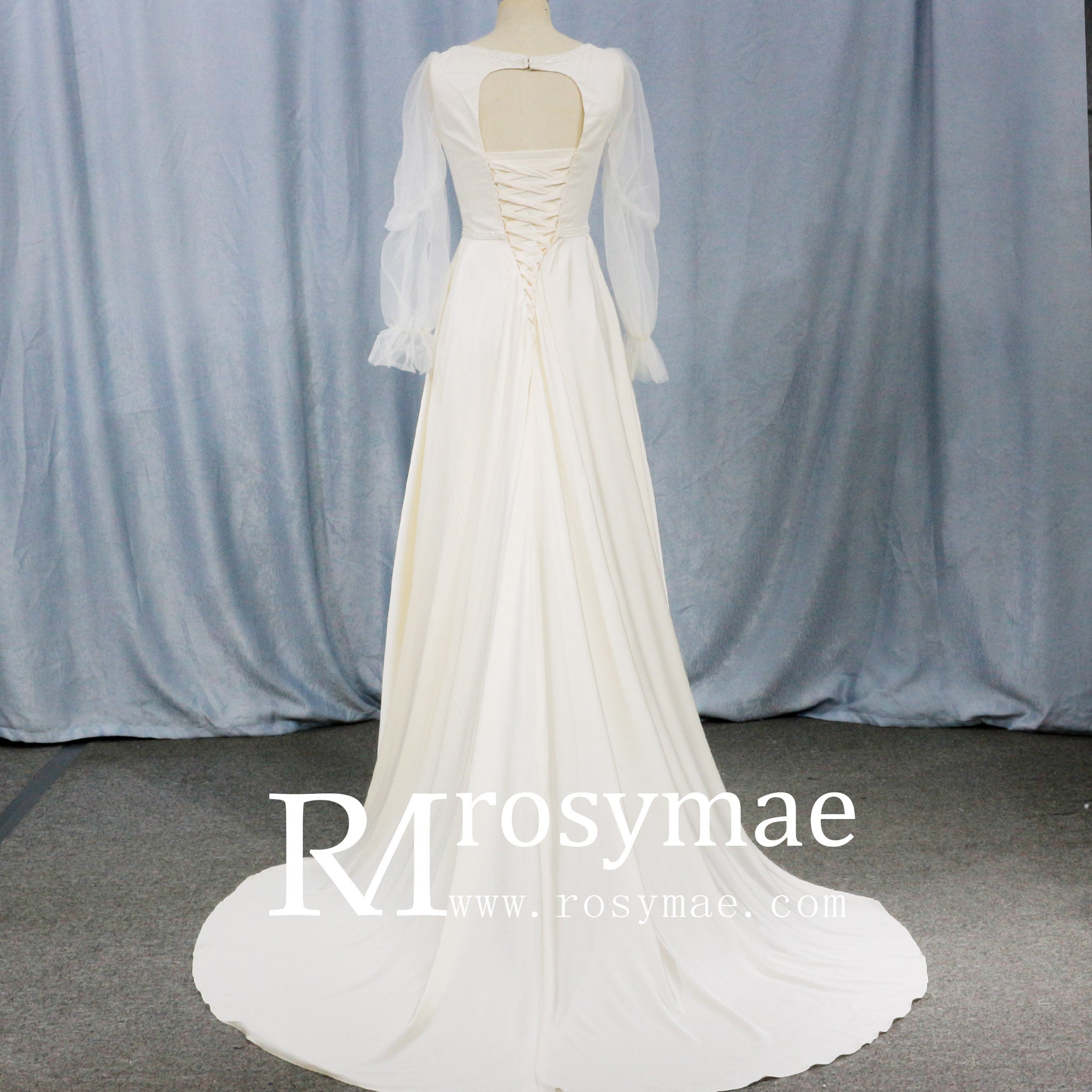 Elegant Deep V-Neck Wedding Dresses with Sheer Sleeves - Rosymae