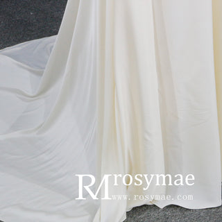 Elegant Deep V-Neck Wedding Dresses with Sheer Sleeves - Rosymae