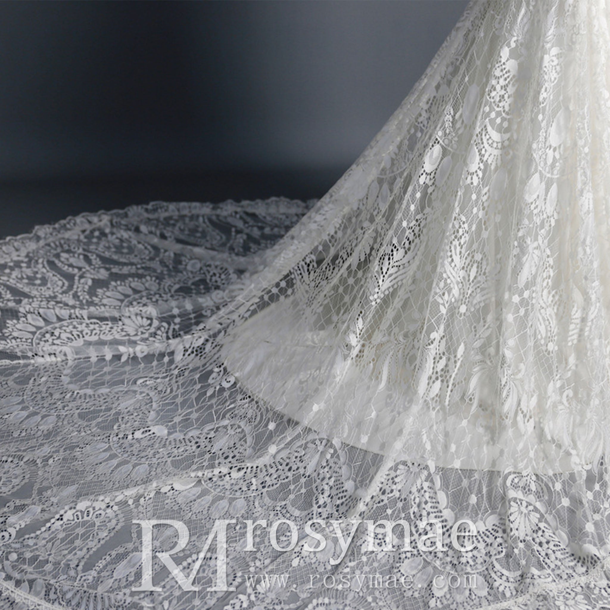 Fit and Flare Lace Wedding Dresses Mermaid Bridal Gowns with Train - Rosymae