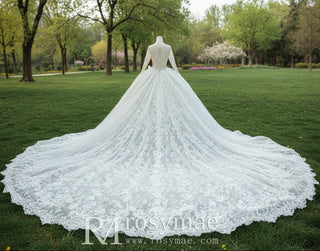 Floral Lace Ball Gown Puffy Skirt Wedding Dress with Long Sleeve - Rosymae
