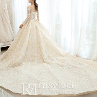 Long Sleeve Embroidery Floral Lace Ball Gown Wedding Dresses
