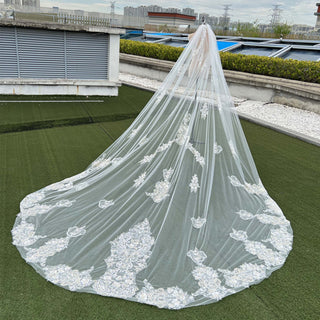 Lace Applique Long Bridal Wedding Dress Head Veil