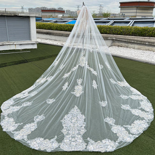 Lace Applique Long Bridal Wedding Dress Head Veil - Rosymae