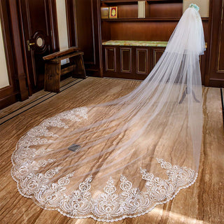 Long Soft Tulle Lace Appliqued Bridal Wedding Head Veil