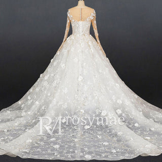 Long Sleeve Ball Gown Wedding Dress with Sheer Neckline - Rosymae