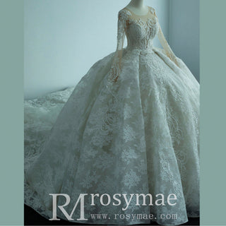 Long Sleeve Lace Ball Gown Wedding Dress with Plunging Neckline