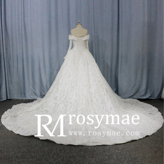 Long Sleeve Sparkly Ball Gown Wedding Dress with V-Neck Lace - Rosymae