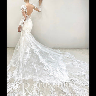 Sheer Long Sleeve Mermaid Lace Wedding Dresses with V-neck