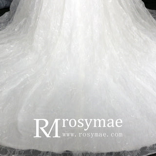 Luxurious Lace Illusion Long Sleeve Ball Gown Wedding Dress - Rosymae