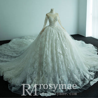 Floral Lace Ball Gown Puffy Skirt Wedding Dress with Long Sleeve