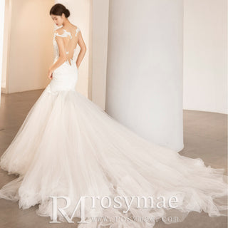 Tulle Lace Mermaid Trumpet Wedding Dress with Sheer Back