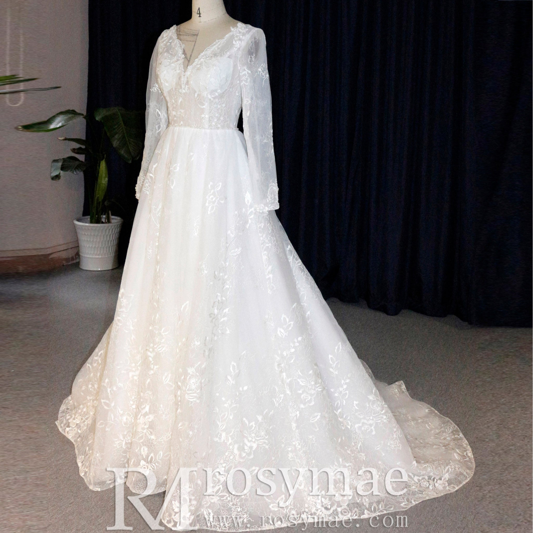 Modern Sheer Bodice A-line V-neck Lace Wedding Dress with Long Sleeves - Rosymae