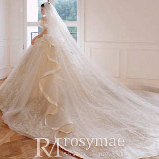 Luxury Glitter Long Train Wedding Dresses with Off the Shoulder