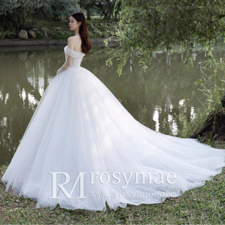 Off the Shoulder Ball Gown Tulle Wedding Dress for Outdoor Wedding