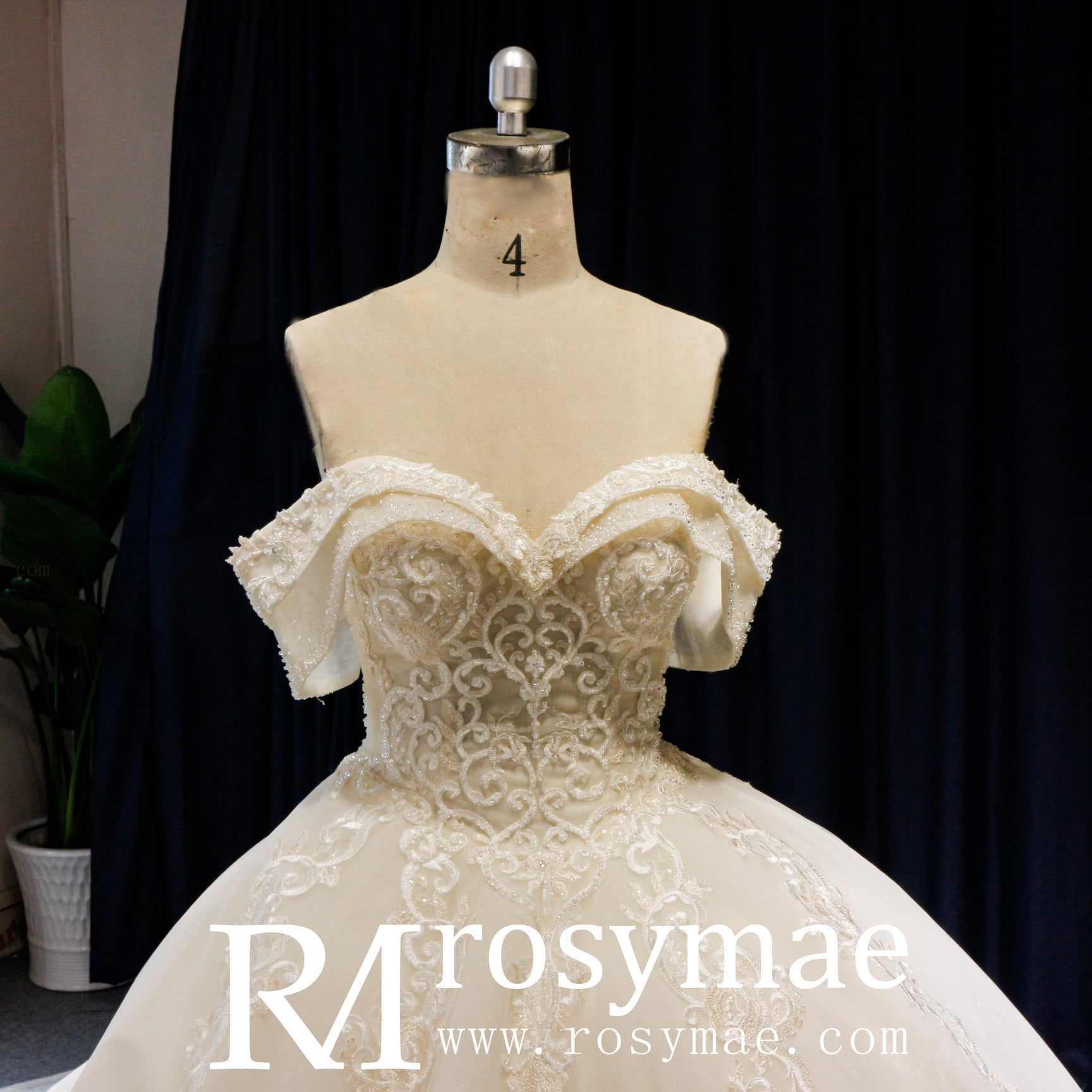Off the Shoulder Ballgown Wedding Dress with Lace Appliqued - Rosymae
