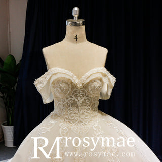Off the Shoulder Ballgown Wedding Dress with Lace Appliqued - Rosymae
