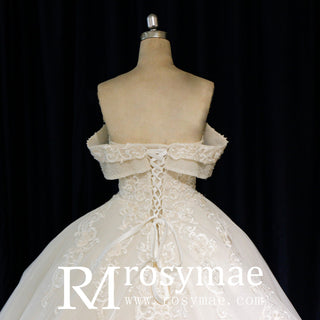 Off the Shoulder Ballgown Wedding Dress with Lace Appliqued - Rosymae