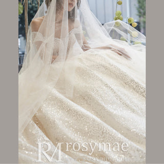 Off-Shoulder Wedding Dresses and Bridal Gowns with Sequined