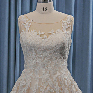Timeless Lace Applique A-line Tulle Plus Size Wedding Dresses