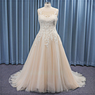 Timeless Lace Applique A-line Tulle Plus Size Wedding Dresses
