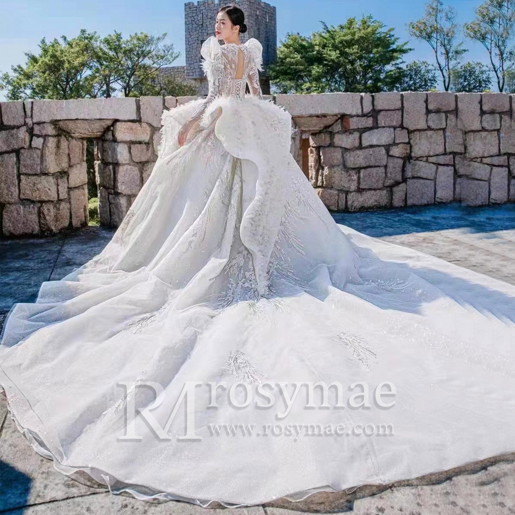 ball-gown-wedding-dress-with-bling
