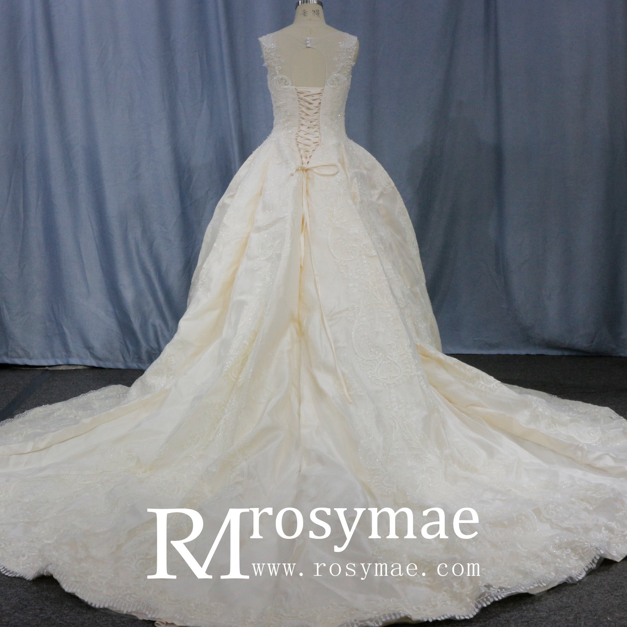 Princess Lace Sweetheart Neckline Ballgown Wedding Dress - Rosymae