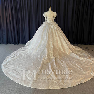 Puffy Long Sleeves Wedding Dresses Sheer Back Bridal Gowns - Rosymae