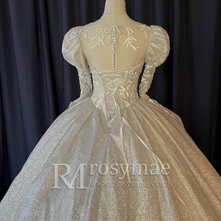 Puffy Long Sleeves Wedding Dresses Sheer Back Bridal Gowns - Rosymae