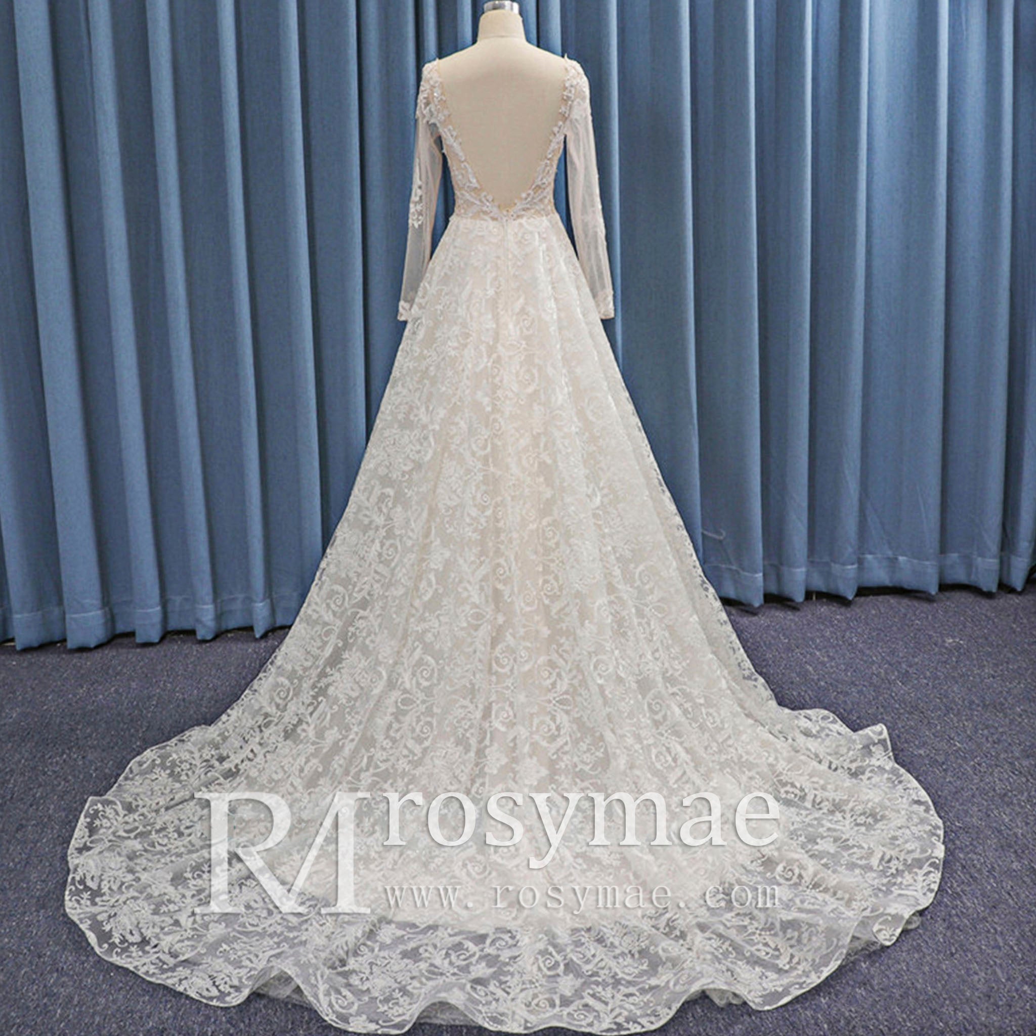 Sheer Bodice and Long Sleeve Floral Lace A-line Wedding Dress Backless - Rosymae