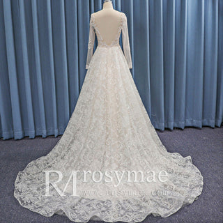 Sheer Bodice and Long Sleeve Floral Lace A-line Wedding Dress Backless - Rosymae