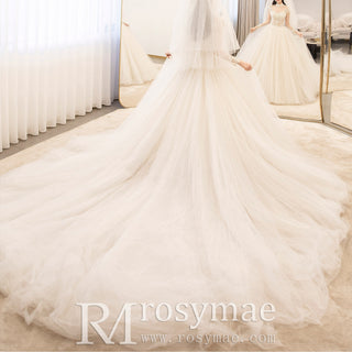Sheer Bodice Puffy Skirt Tulle Wedding Dress with Long Sleeve