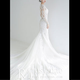 Long Sleeve Sheer Lace Wedding Dress Mermaid Bridal Gown