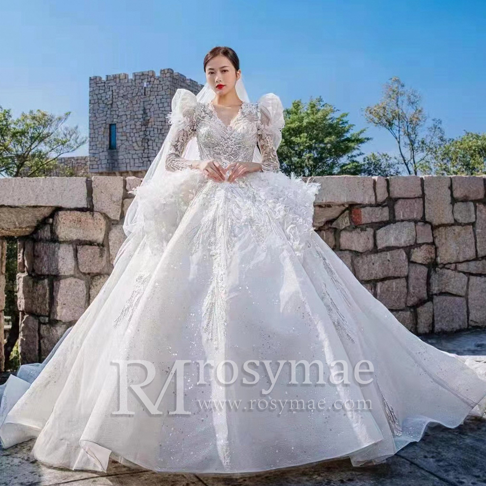 Sheer Long Sleeve Feather Ball Gown Wedding Dress - Rosymae