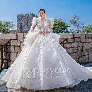 Sheer Long Sleeve Feather Ball Gown Wedding Dress - Rosymae