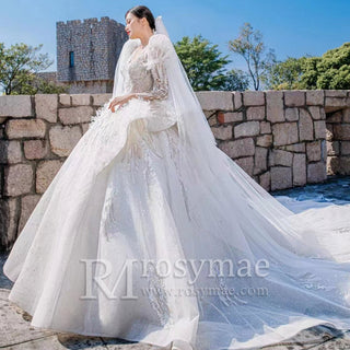 Sheer Long Sleeve Feather Ball Gown Wedding Dress - Rosymae