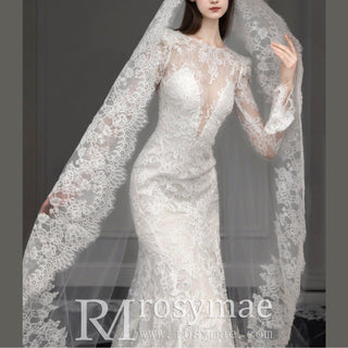 Mermaid Lace Wedding Dresses with Long Sheer Sleeves