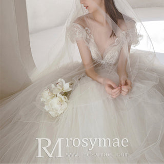 Off the Shoulder Illusion Neckline Bridal Wedding Dress with Sleeve